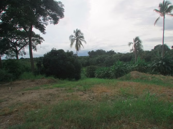 Terreno en Playa Corona, San Carlos, 2.4has