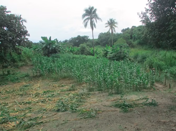 Terreno en Playa Corona, San Carlos, 2.4has