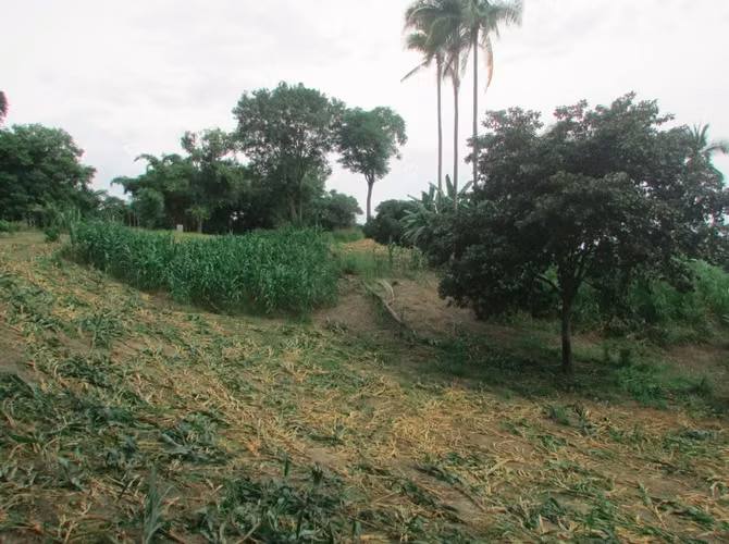 Terreno en Playa Corona, San Carlos, 2.4has