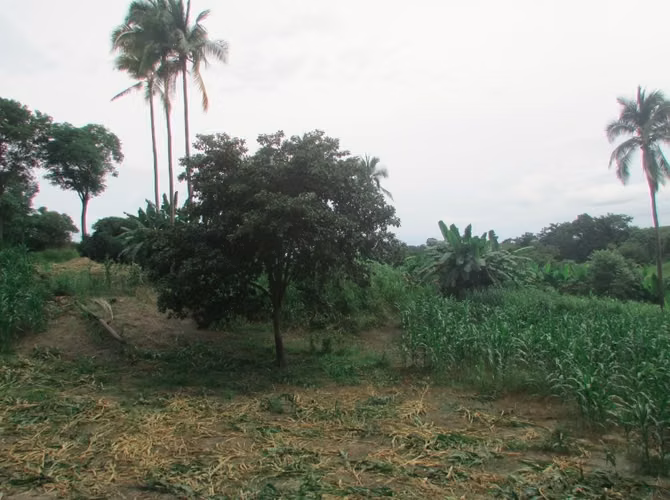 Terreno en Playa Corona, San Carlos, 2.4has