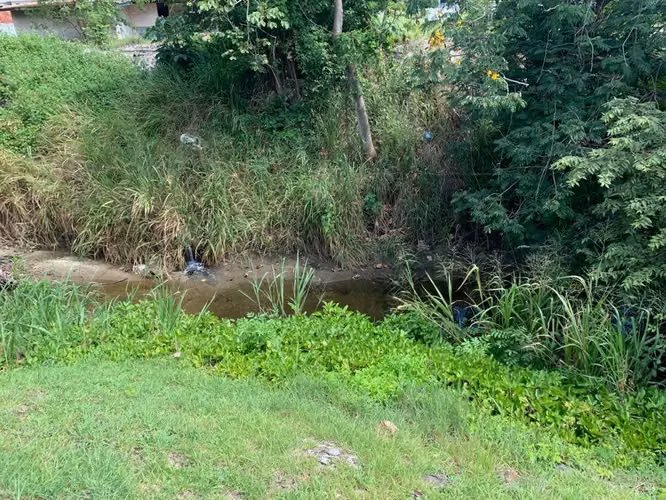 Terreno en Coronado, 1,415m2