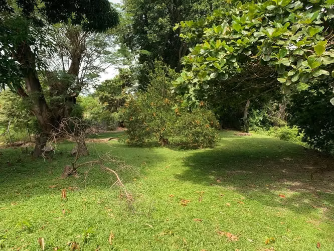Terreno en Coronado, 1,415m2
