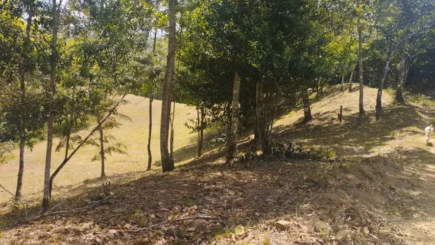 LAND PENONOME 51,000 METERS IN CHIGUIRI ABAJO