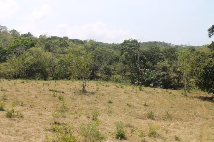Terreno en Venta en Chilibre