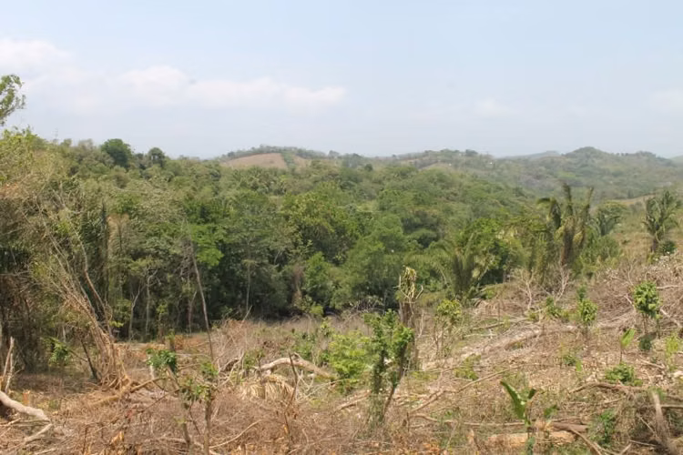 Terreno en Venta en Chilibre
