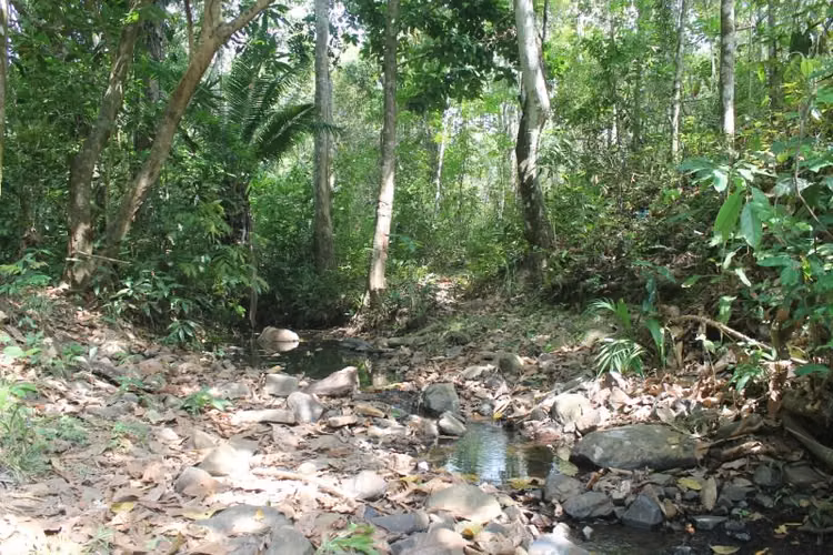 Terreno en Venta en Chilibre