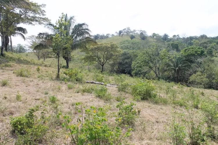 Terreno en Venta en Chilibre