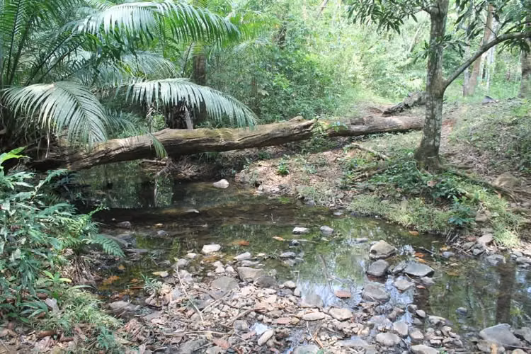 Terreno en Venta en Chilibre