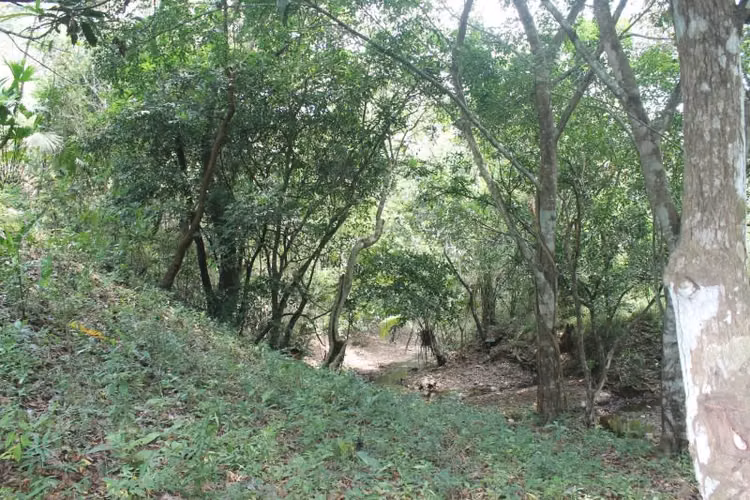 Terreno en Venta en Chilibre