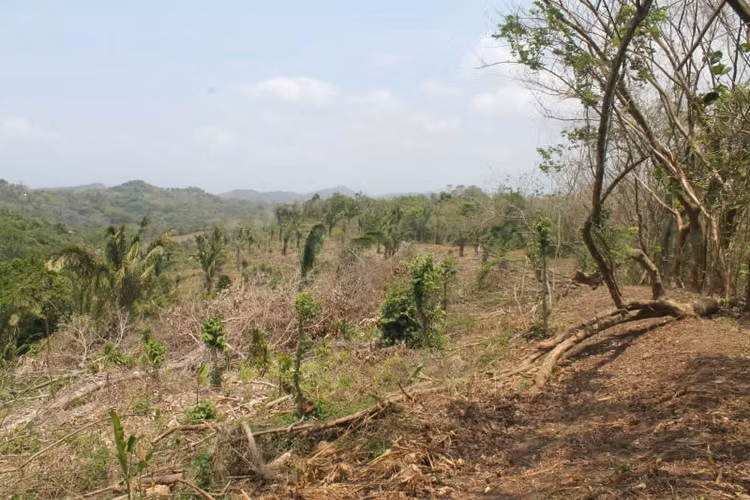 Terreno en Venta en Chilibre