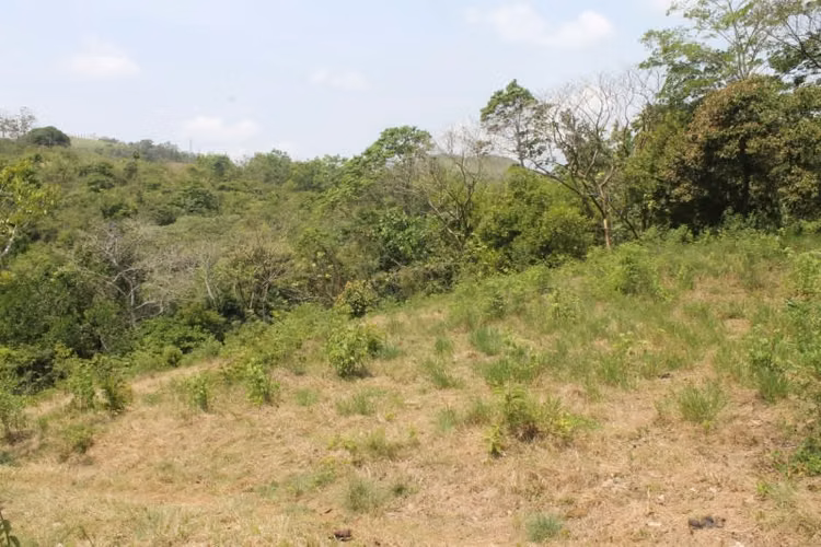 Terreno en Venta en Chilibre