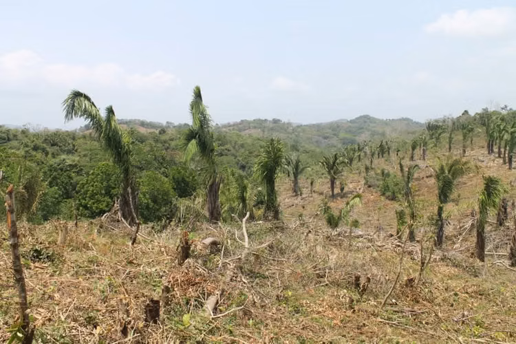Terreno en Venta en Chilibre