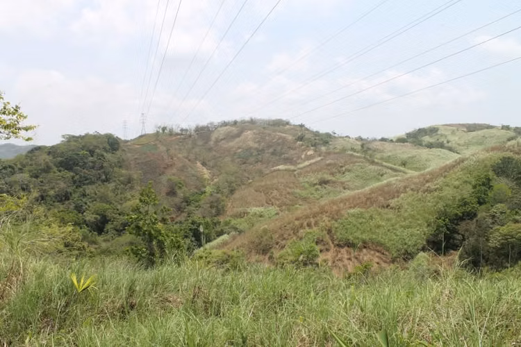 Terreno en Venta en Chilibre