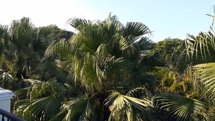 Casa en Venta en Toucan Country Club - Imagen 13