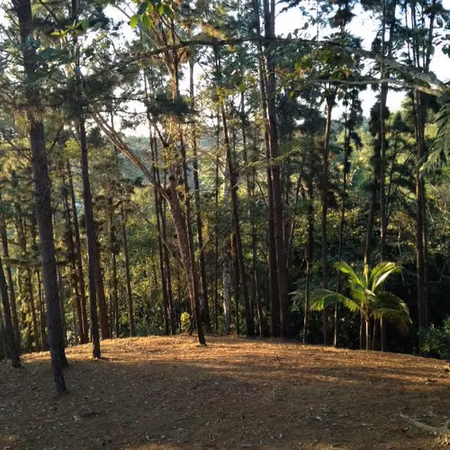 Venta de terreno en Arraiján Colinas de Cáceres 3,5ha.