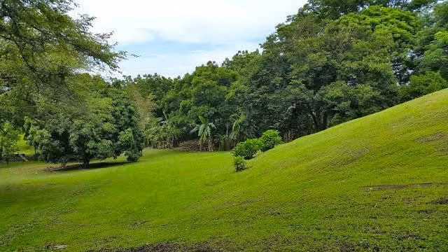 HACIENDA LAS LAGARTIJAS SAN CARLOS EN VENTA - Imagen 3