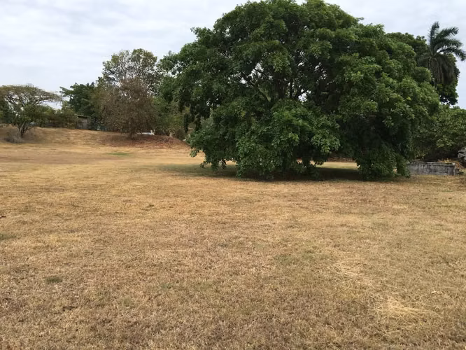 Terreno en Club de Golf Coronado