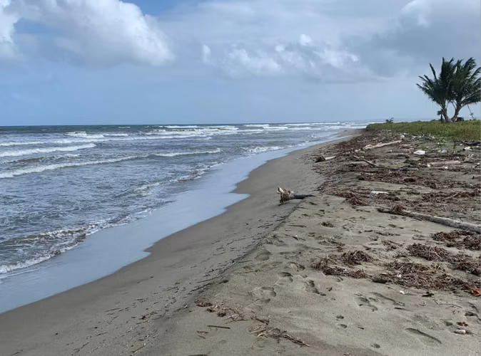 Finca Colon, Costa Abajo, frente al mar Caribe, 1,200 ha.
