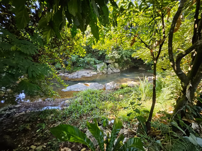 VENDO UNA HECTAREA EN SAJALICES ORILLA PANAMERICANA 390K - Imagen 8