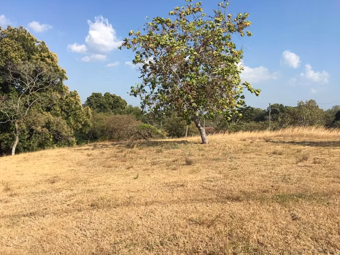 VENDO LOTE EN CONJUNTO RESIDENCIAL EN LAS LAJAS - Imagen 8
