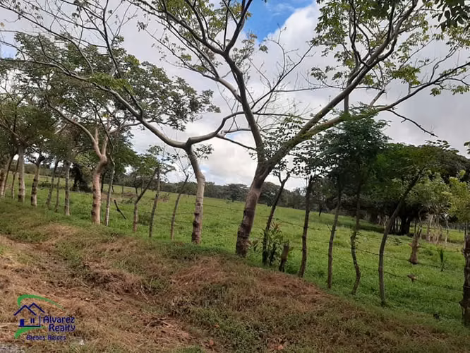 ID# F-0148 Finca en venta Para Urbanizar - Imagen 6