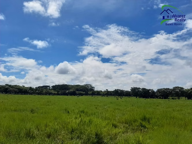 ID# F-0148 Finca en venta Para Urbanizar - Imagen 4