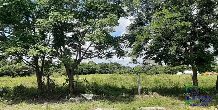 ID# L-0046 Lote comercial e Industrial en Venta - Imagen 6