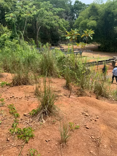 Venta de Terreno en Arraiján, Vía Interamericana, 1 hectárea