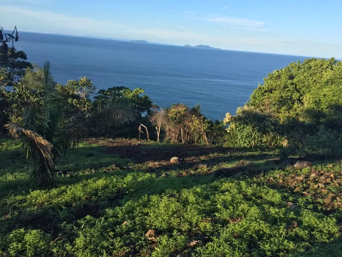 SPECIAL OFFER, BEACH LOT IN PACIFIC OF CHIRIQUI WE ACCEPT TRADE - Imagen 9
