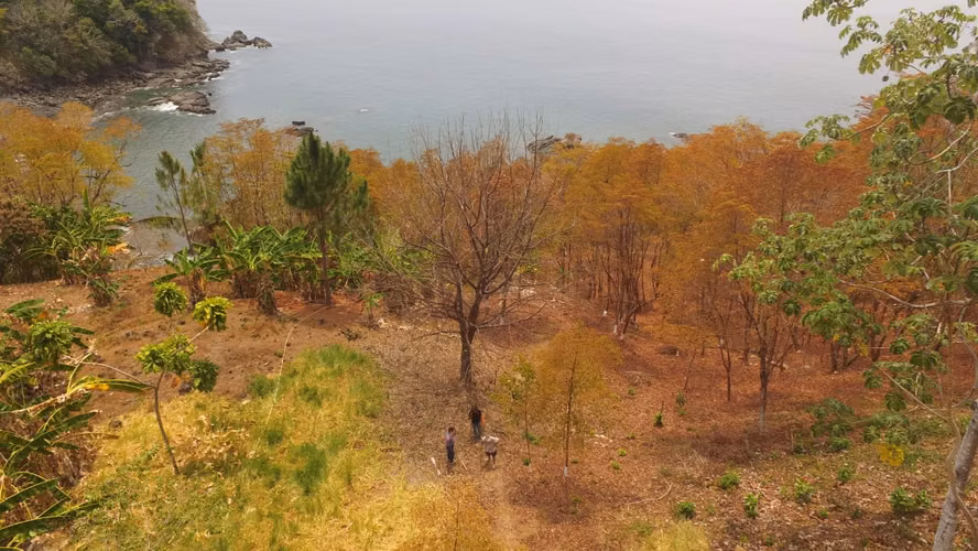SPECIAL OFFER, BEACH LOT IN PACIFIC OF CHIRIQUI WE ACCEPT TRADE - Imagen 7