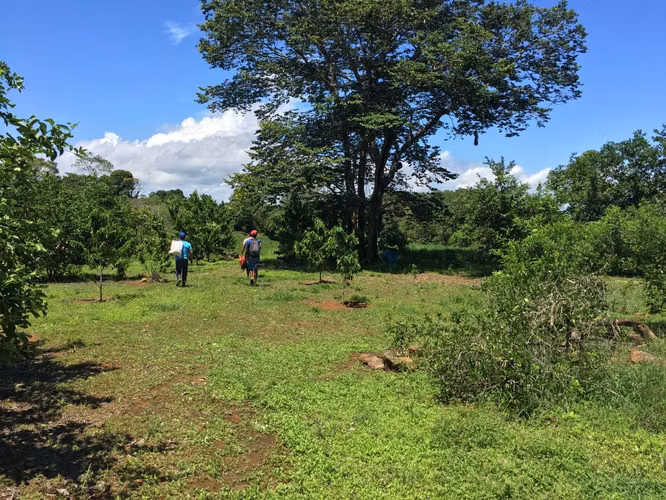 SPECIAL OFFER, BEACH LOT IN PACIFIC OF CHIRIQUI WE ACCEPT TRADE - Imagen 20