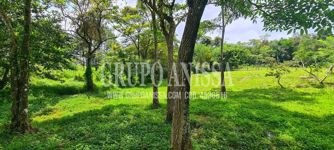 Se Vende Hermoso Terreno en Sora Chame COD. 