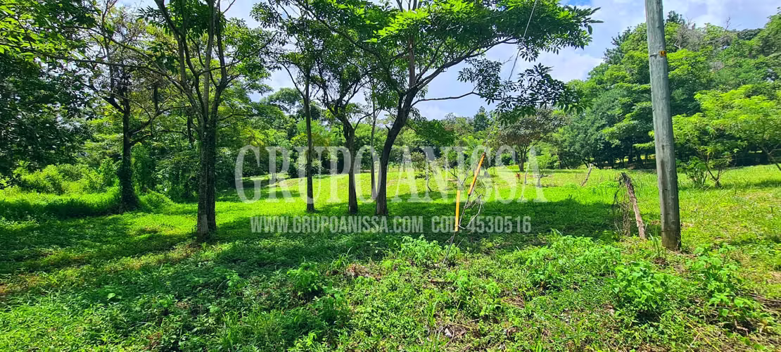 Se Vende Hermoso Terreno en Sora Chame COD. 