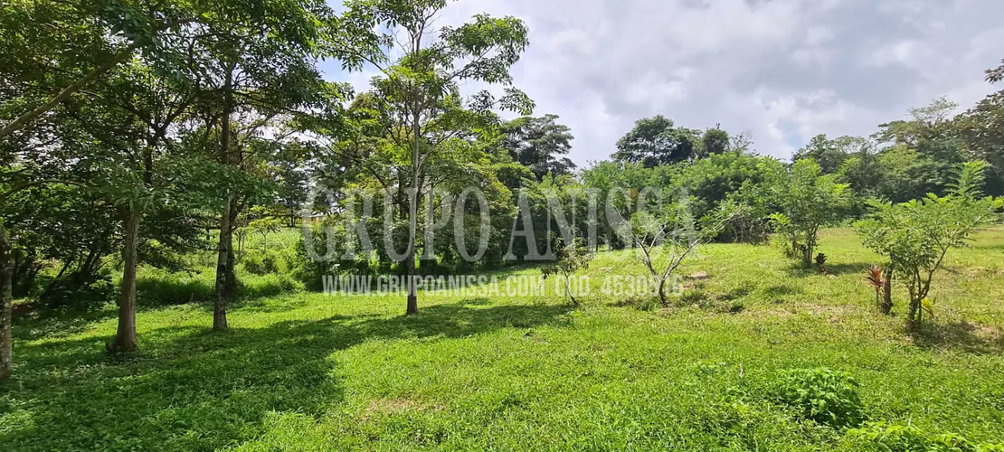 Se Vende Hermoso Terreno en Sora Chame COD. 