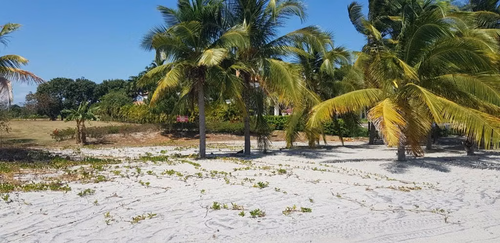 Venta Terreno Frente al mar en Buenaventura, Coclé, 4,972m2 - Imagen 5