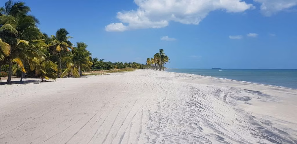 Venta Terreno Frente al mar en Buenaventura, Coclé, 4,972m2 - Imagen 3