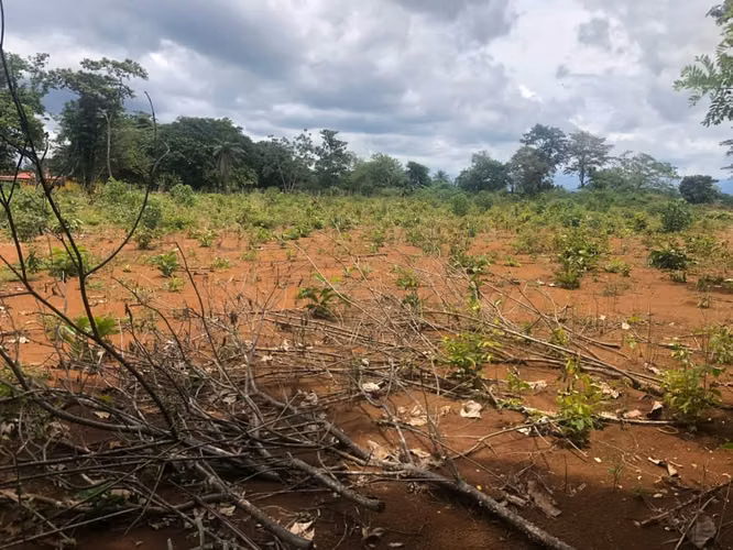 Venta Terreno en Dolega, Chiriquí, 18,800m2 - Imagen 3