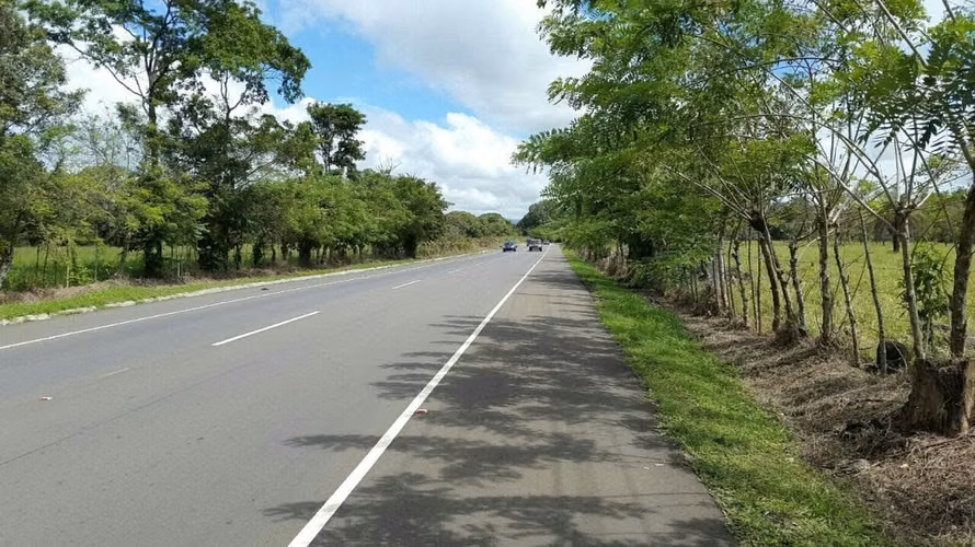 Venta Finca en Los Algarrobos, Chiriquí, 4 hectáreas
