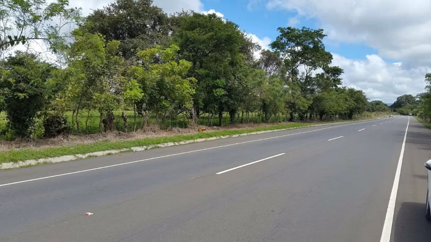 Venta Finca en Los Algarrobos, Chiriquí, 4 hectáreas