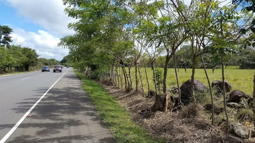 Venta Finca en Los Algarrobos, Chiriquí, 4 hectáreas