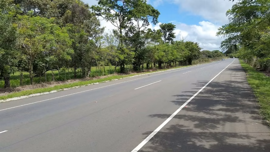Venta Finca en Los Algarrobos, Chiriquí, 4 hectáreas
