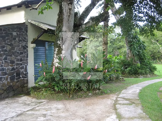 Casa con rio en El valle de Anton en terreno de 11,073.90 m2 - Imagen 3
