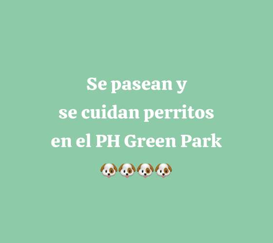 Guardería de mascotas