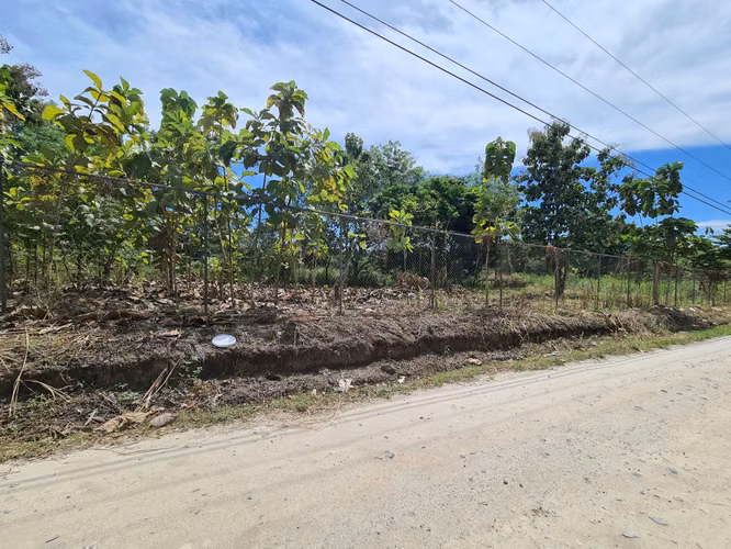 VENDO TERRENO. CARRETERA AL LADO DE BIJAO. PLAYA.