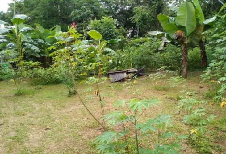 Terreno en Chilibre, 3,750m2