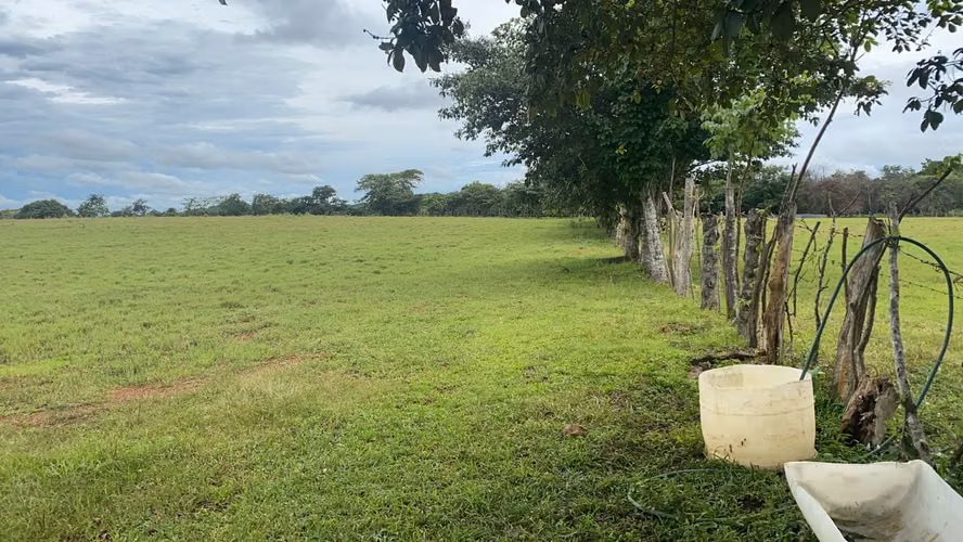 Venta Finca en Aguadulce, Coclé, 115 hectáreas