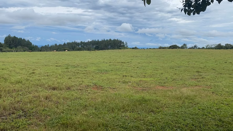 Venta Finca en Aguadulce, Coclé, 115 hectáreas