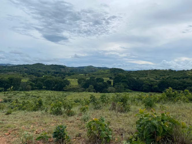 Venta Finca en Aguadulce, Coclé, 115 hectáreas