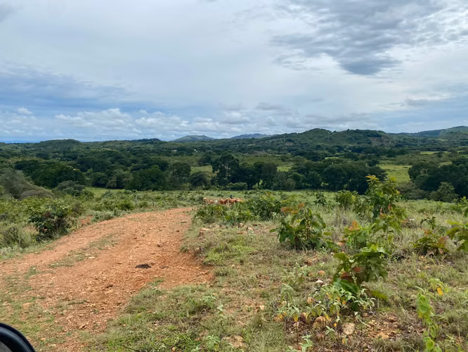 Venta Finca en Aguadulce, Coclé, 115 hectáreas