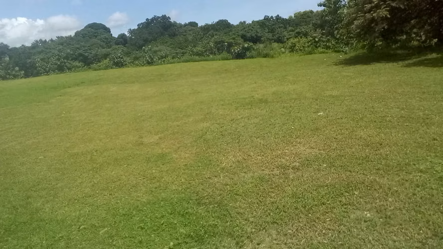 Terreno en Coronado, Las Lajas, 6,390m2